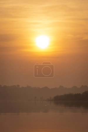 Téléchargez les photos : Belle vue sur le soleil se levant au-dessus de l'eau dans l'archipel d'Anavilhanas, Rivière Noire, Amazonas, Brésil - en image libre de droit