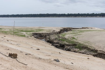 Foto de Playa de arena junto al río Negro vista durante una severa sequía en el Amazonas, Parque Nacional Anavilhanas, Estado de Amazonas, Brasil - Imagen libre de derechos