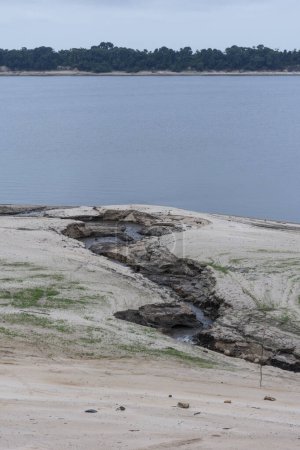 Foto de Playa de arena junto al río Negro vista durante una severa sequía en el Amazonas, Parque Nacional Anavilhanas, Estado de Amazonas, Brasil - Imagen libre de derechos