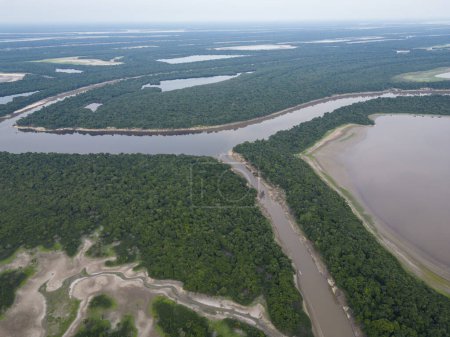 Foto de Hermosa vista aérea al río Negro y al archipiélago de Anavilhanas, estado de Amazonas, Brasil - Imagen libre de derechos