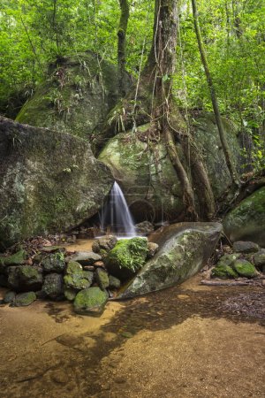 Téléchargez les photos : Vue sur la petite piscine de cascade de forêt tropicale verte, Parc national de Tijuca, Rio de Janeiro, Brésil - en image libre de droit