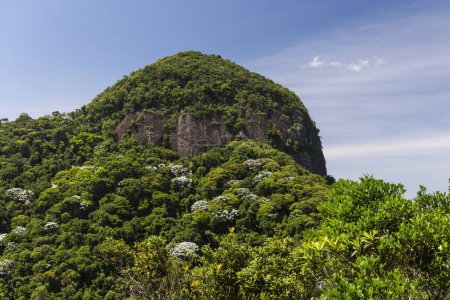 Hermosa vista a la montaña verde de la selva rocosa en el Parque Tijuca, Río de Janeiro, Brasil