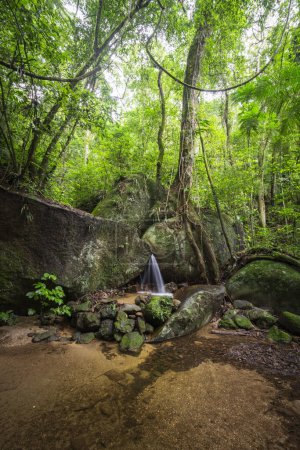 Foto de Vista a la pequeña piscina de cascada de selva verde, Parque Nacional Tijuca, Río de Janeiro, Brasil - Imagen libre de derechos