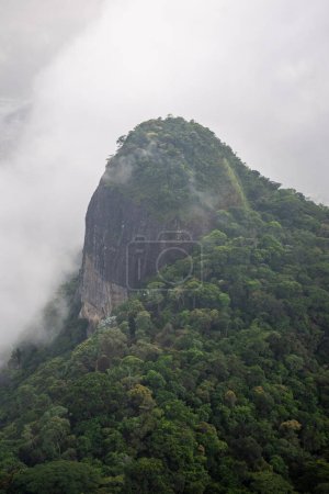 Hermosa vista a la montaña verde de la selva rocosa en el Bosque de Tijuca, Río de Janeiro, Brasil