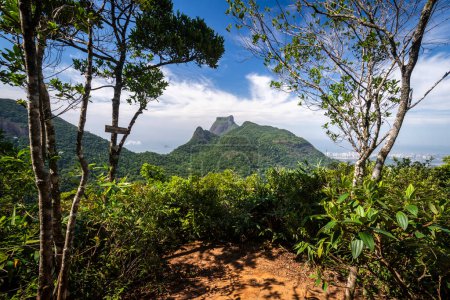 Foto de Hermosa vista a las montañas verdes y rocosas de la selva tropical en el Parque Tijuca, Río de Janeiro, Brasil - Imagen libre de derechos