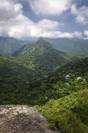 Hermosa vista a la montaña verde de la selva rocosa en el Bosque de Tijuca, Río de Janeiro, Brasil