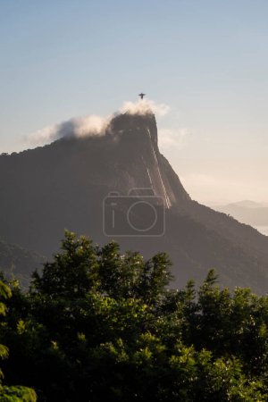 Téléchargez les photos : Belle vue de Vista Chinesa à Corcovado Mountain, Tijuca Park, Rio de Janeiro, Brésil - en image libre de droit