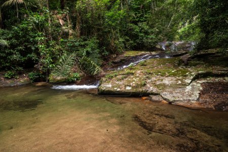 Hermosa cascada y piscina de río en la selva verde Parque Tijuca, Río de Janeiro, Brasil