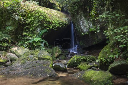 Cascada en la entrada de la cueva en la verde selva atlántica Parque Tijuca, Río de Janeiro, Brasil