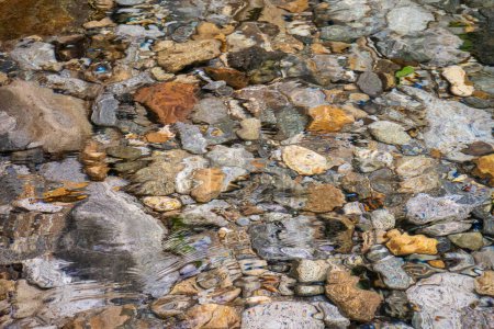 Téléchargez les photos : Rocks in crystal clear water river bottom in green rainforest area, Serrinha do Alambari, Mantiqueira Mountains, Rio de Janeiro, Brazil - en image libre de droit