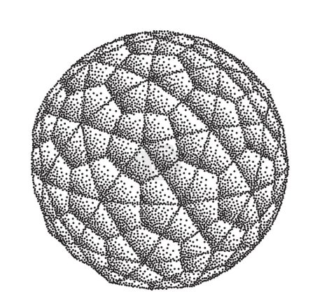 Ilustración de Esfera Wireframe líneas de punteado vectoriales - Imagen libre de derechos