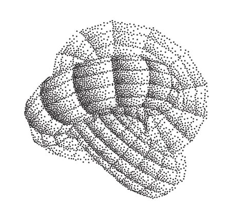 Illustration for Monochrome Stippled Spiral Shell Artwork - Royalty Free Image