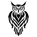 Black and white drawing of an owl on a white background.