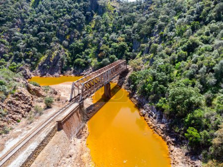 Le pont Salomon traversant la rivière rouge, Rio Tinto, est un pont ferroviaire dans la province de Huelva et faisait à l'origine partie du chemin de fer Riotinto pour le transport de minerai de cuivre à Huelva