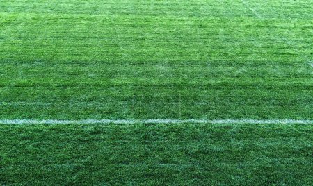 Photo for Green grass texture of a soccer or rugby field. Lush green grass meadow background - Royalty Free Image