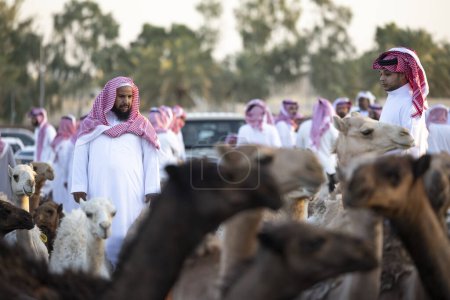 Téléchargez les photos : Buraydah, Arabie Saoudite, 4 août 2023 : hommes soudi à un marché aux chameaux - en image libre de droit