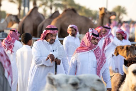 Téléchargez les photos : Buraydah, Arabie Saoudite, 4 août 2023 : chameaux soudi et hommes au marché aux chameaux - en image libre de droit