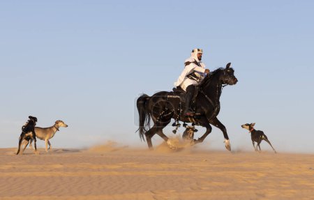 Foto de Hombre con ropa tradicional de Arabia Saudita en un desierto con un semental negro y sus perros - Imagen libre de derechos