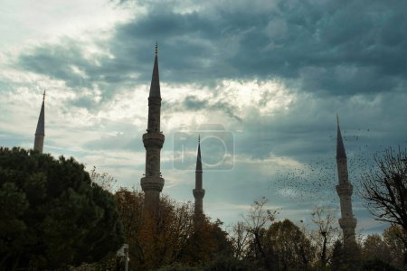 Foto de Ramadan Wallpaper with nostalgic mosque, minarets and trees in Istanbul. Touristic winter and autumn vintage background in Istanbul - Imagen libre de derechos