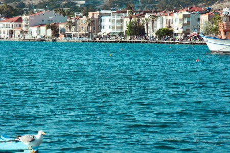 Foto de La costa de Fcoa, una antigua ciudad marítima. Foca toma su antiguo nombre de las focas monje del Mediterráneo en peligro de extinción. - Imagen libre de derechos
