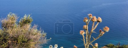 Photo for Assos anakkale Troias coastline, Aegean herbs, scrub vegetation in the mountains in summer and a clear sky. Aegean seacape, landcape. - Royalty Free Image