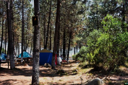 Foto de Tiendas de campaña instaladas en un camping en el bosque, una pizarra para aviso o advertencia en un árbol. El texto se puede añadir a la pizarra. - Imagen libre de derechos