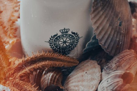 Photo for Vintage nautical background image with seashells, dried starfish and marine objects - Royalty Free Image