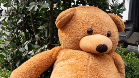 Foto de Un enorme juguete de oso dejado en la calle frente a un árbol. Osito de peluche - Imagen libre de derechos
