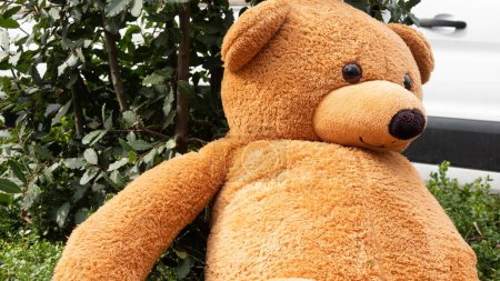 Foto de Un enorme juguete de oso dejado en la calle frente a un árbol. Osito de peluche - Imagen libre de derechos