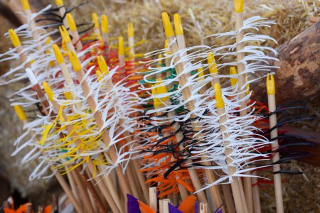 Foto de Flechas de madera coloridas tradicionales reunidas verticalmente en un tazón. Coloridas flechas tradicionales y puntas de flecha para tiro con arco - Imagen libre de derechos