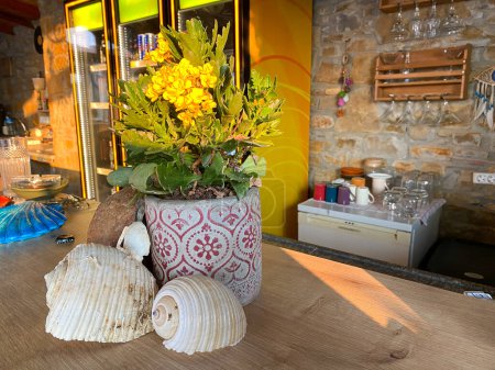 Téléchargez les photos : Été bar vue avec des fleurs jaunes en pot, coquillages - en image libre de droit