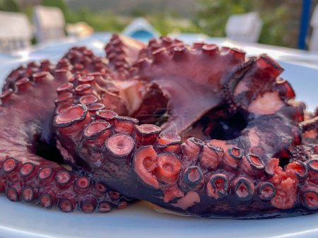 Téléchargez les photos : Vue rapprochée du poulpe bouilli dans l'assiette, sur la table du restaurant Gokceada, Imbros island, Canakkale, Turquie - en image libre de droit