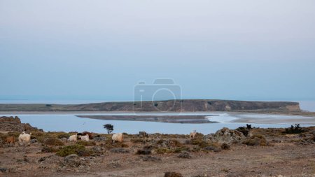 Photo for Salt Lake, located in the middle of Aydincik and Kefaloz beaches. The black mud coming out of the lake is rubbed on the body by tourists considering it is good for some diseases. - Royalty Free Image