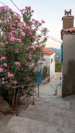 Téléchargez les photos : Belle rue ancienne avec pont en pierre, maisons de village traditionnelles turques des deux côtés, montagnes verdoyantes en arrière-plan - Tepekoy - Gokceada - Canakkale, Turquie - en image libre de droit