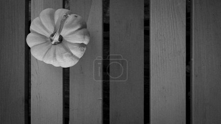 Foto de Calabaza ornamental en blanco y negro sobre una mesa - Imagen libre de derechos