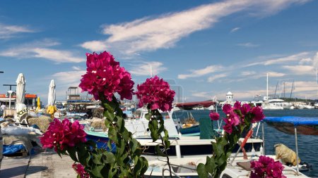 Téléchargez les photos : Vue sur le port à Iskele, Urla. Urla est populer pêche vieille ville à Izmir. - en image libre de droit