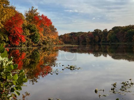 Photo for Autumn landscape with lake, trees and cloudy sky reflected in water.  View of the Brainerd Lake in autumn in Cranbury, New Jersey, United States. - Royalty Free Image