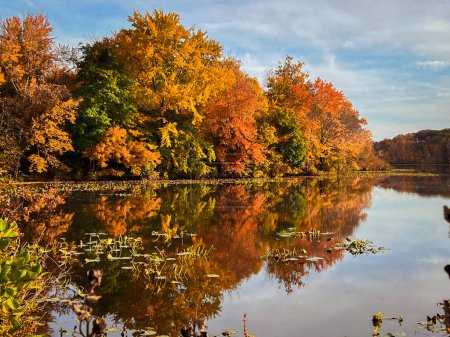 Photo for Autumn landscape with lake, trees and cloudy sky reflected in water.  View of the Brainerd Lake in autumn in Cranbury, New Jersey, United States. - Royalty Free Image