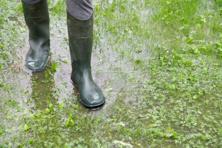 The person walks on water. Legs in wellies or gumboots. The garden is flooded. Consequences of downpour, flood. Springtime