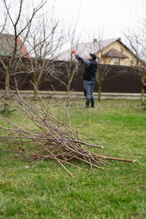 Seasonal pruning of the garden. Gardening, spring work. Thinning and crown formation