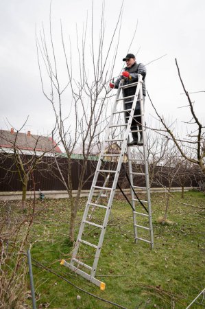 Seasonal pruning of the garden. Gardening, spring work. Thinning and crown formation of fruit trees. Gardener on a ladder