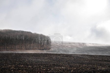 Spring landscape, agricultural land. Foggy morning, the ground is steaming. Natural phenomenon. Cloudy