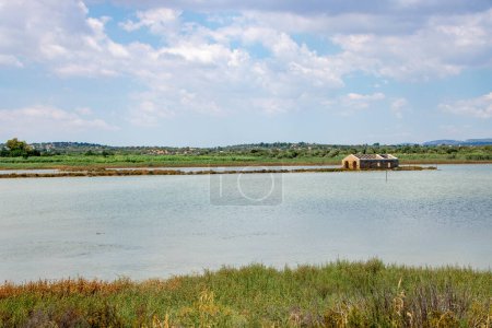 Photo for The Vendicari Nature Reserve wildlife oasis, located between Noto and Marzamemi, Sicily, Italy - Royalty Free Image