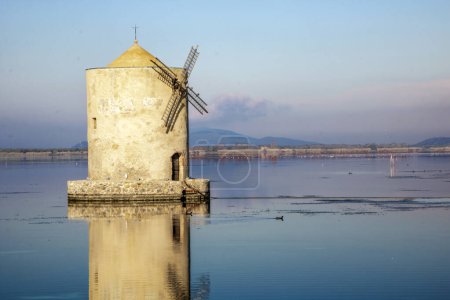 Téléchargez les photos : Espagnol mille in orbetello lagoon, maremma tuscany, Italie - en image libre de droit