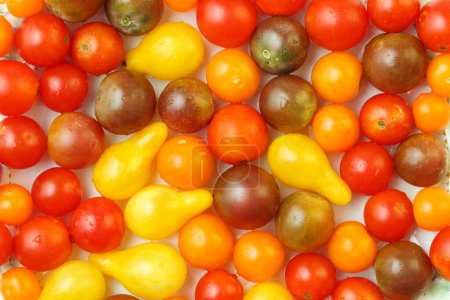 Photo for Close up, top down view of fresh, organic mixture of red, orange, yellow and black cherry and pear tomatoes. Colorful food texture background - Royalty Free Image