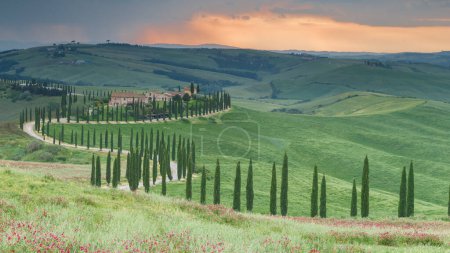 Photo for Tuscany landscape in italy nature scenic view - Royalty Free Image