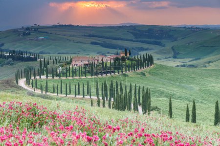 Photo for Tuscany landscape in italy nature scenic view - Royalty Free Image