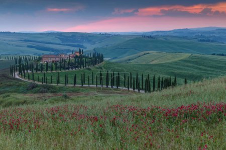 Téléchargez les photos : Paysage toscane en italie nature vue panoramique - en image libre de droit