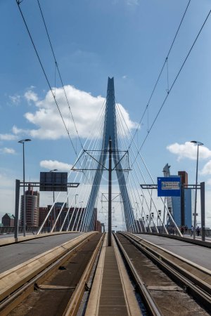Téléchargez les photos : Le câble - pont suspendu dans la ville de rotterdam - en image libre de droit