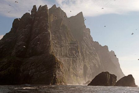 Photo for The cliffs of Saint Kilda archipelago, Outer Hebrides, Scotland - Royalty Free Image